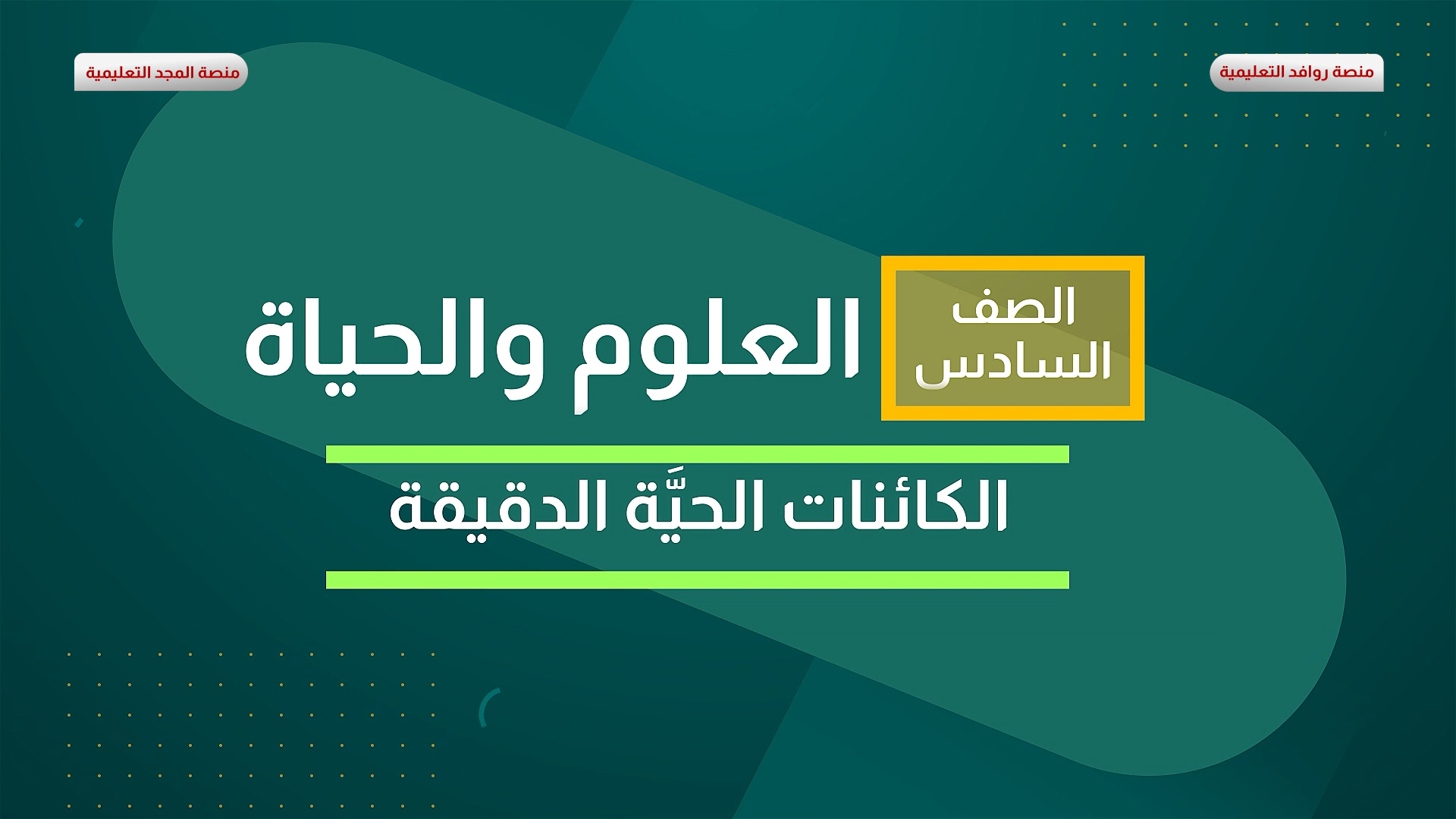 الكائنات الحية الدقيقة