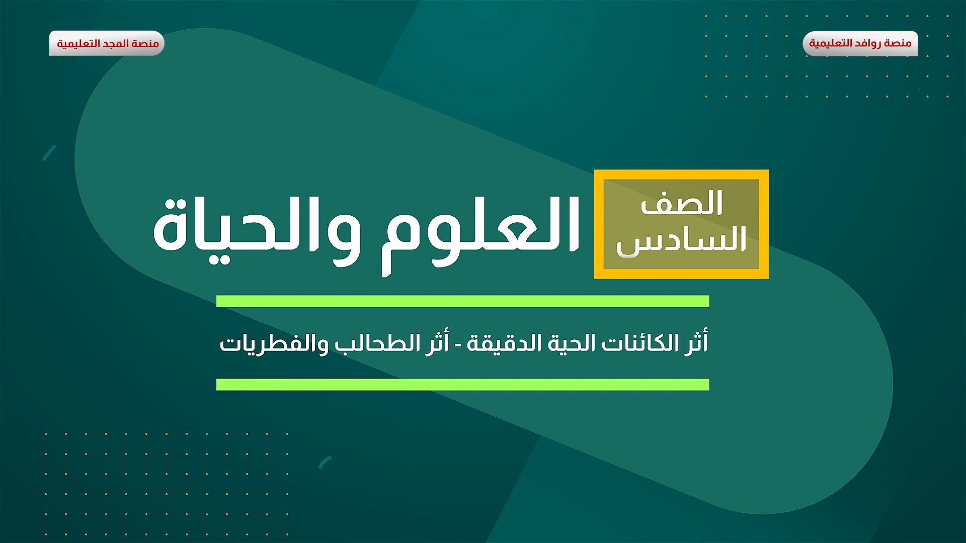 أثر الكائنات الحية الدقيقة - أثر الطحالب والفطريات